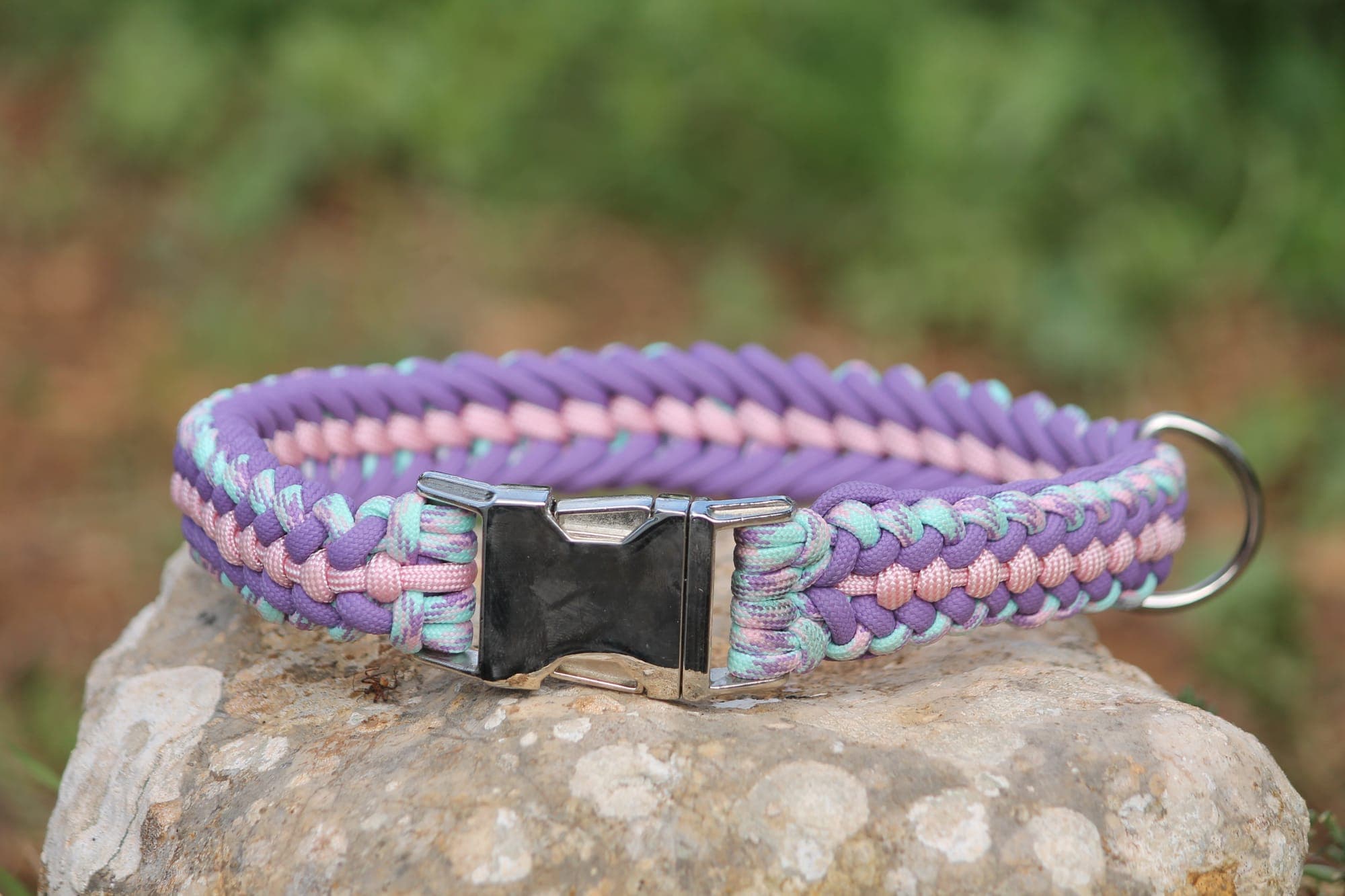 Collier pour chien en paracorde tressée violet, rose poudré et vert menthe, boucle clip métal et anneau inox, posé sur une pierre.