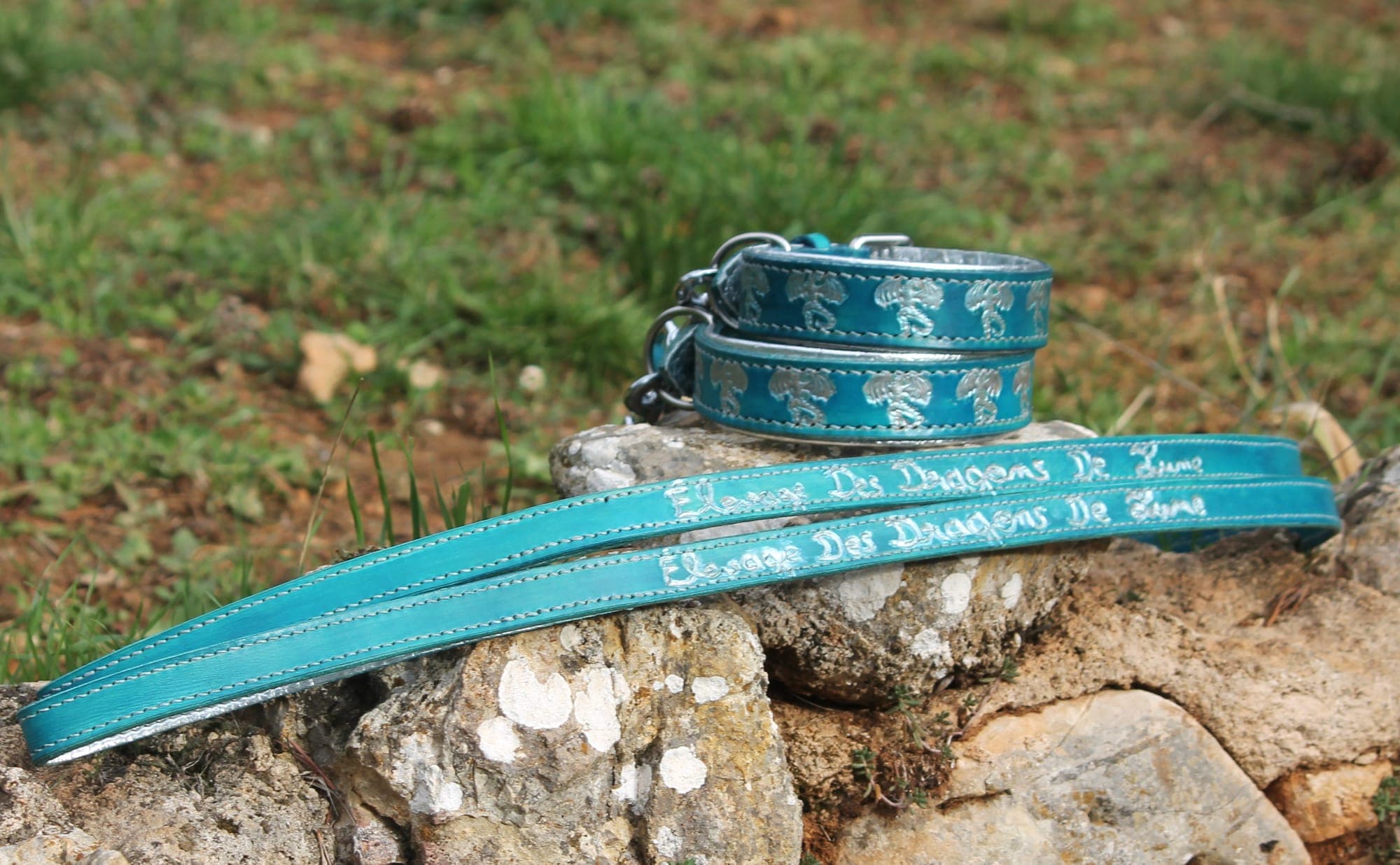 Deux colliers et une laisse en cuir turquoise gravés de dragons argentés et du nom « Élevage Des Dragons De Lune », posés sur un rocher.