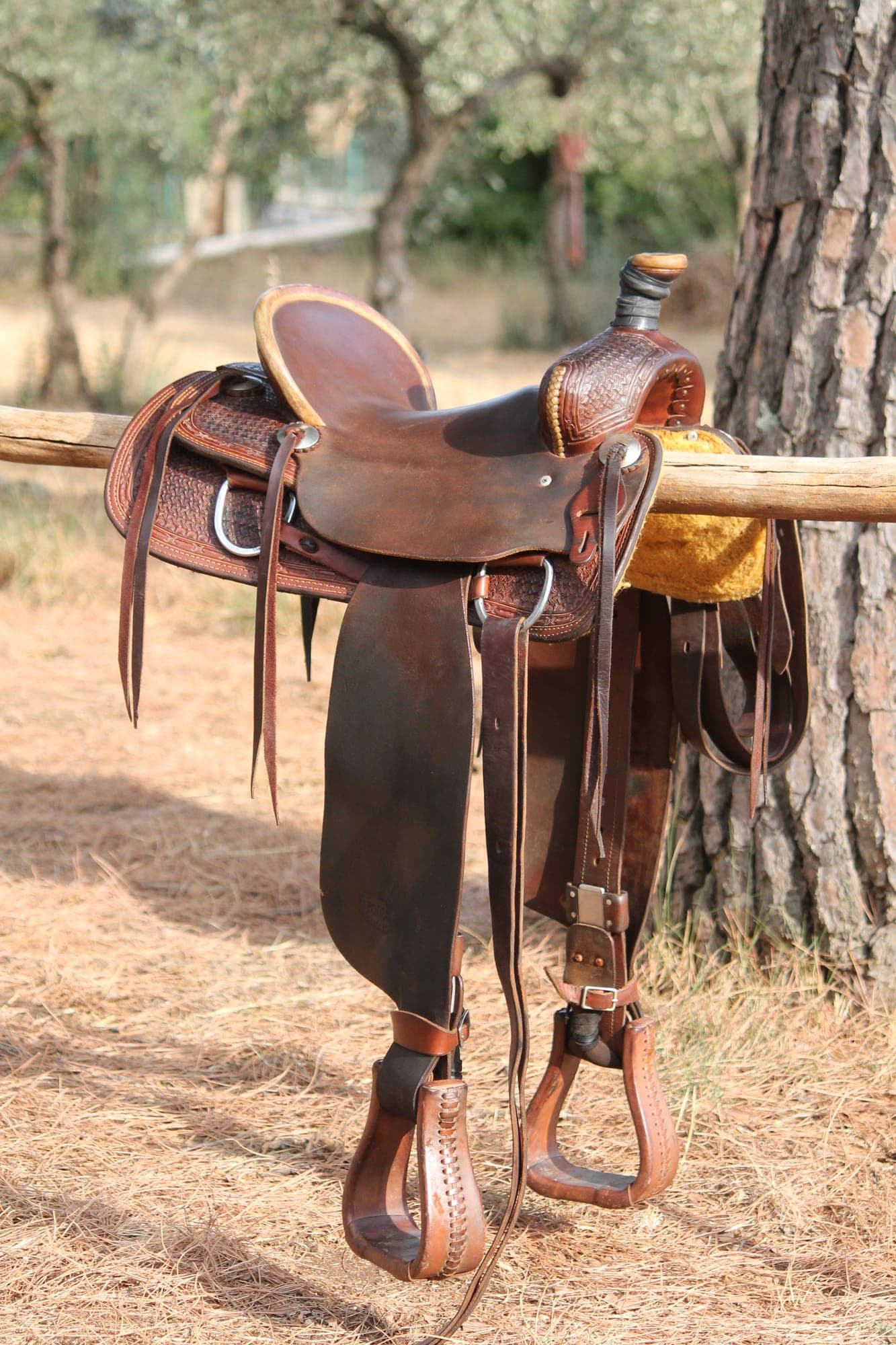 Selle western en cuir brun ouvragé, corne et étriers, posée sur une barre en bois devant un tronc de pin.